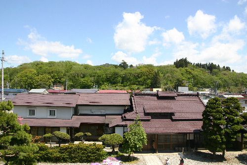 見事な烏帽子山公園の新緑