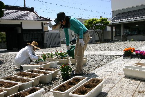 記念館も花いっぱい運動に参加