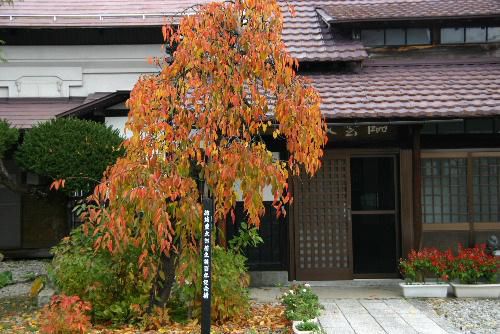 記念館の庭の紅葉も鮮やか　秋になると　詩「ゆずり葉」が