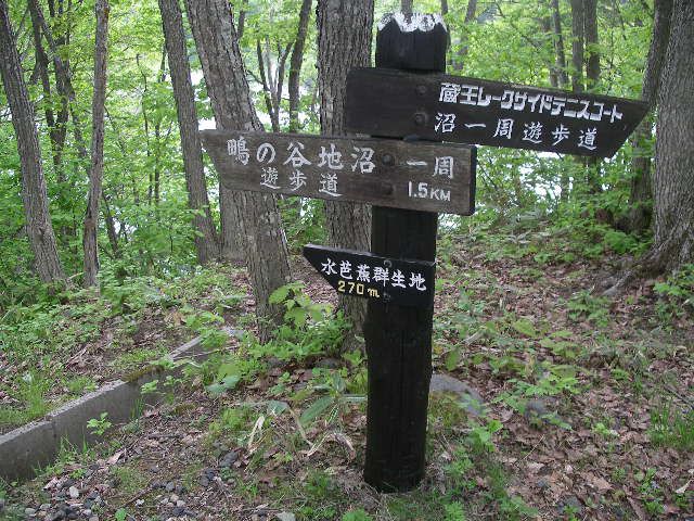 鴫の谷地沼《水芭蕉群生地》のどかな湖