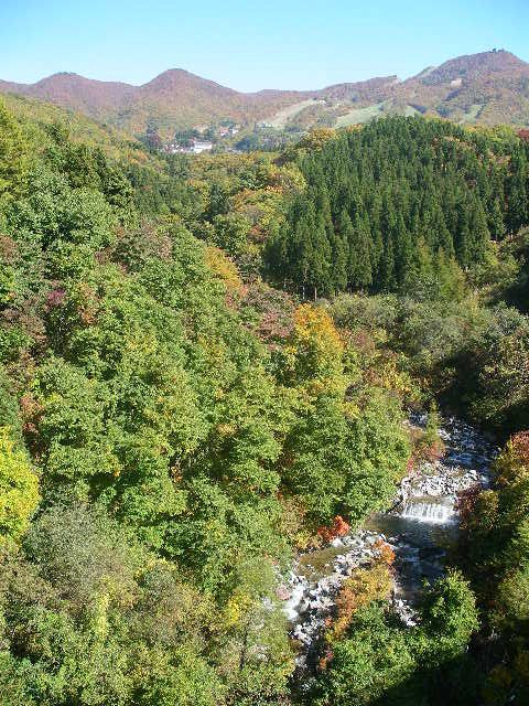 樹氷橋から眺むる紅葉