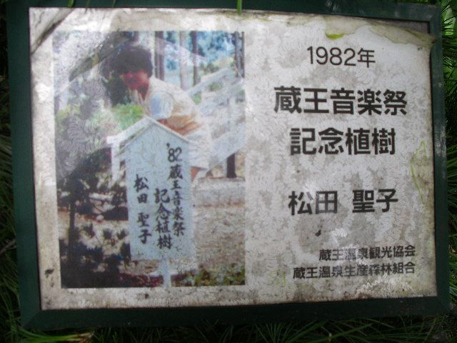 1982年【蔵王音楽祭記念植樹】松田聖子