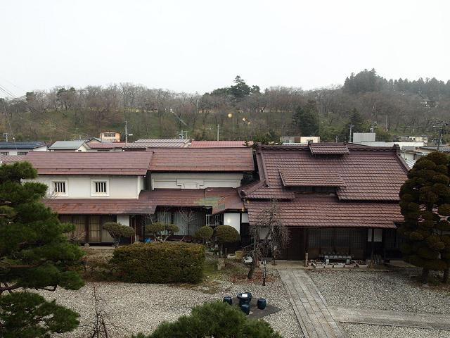 3月28日朝9時、烏帽子山の桜の様子です