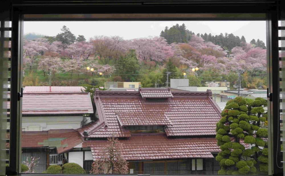 ４月１６日朝９時、烏帽子山の桜の様子です。