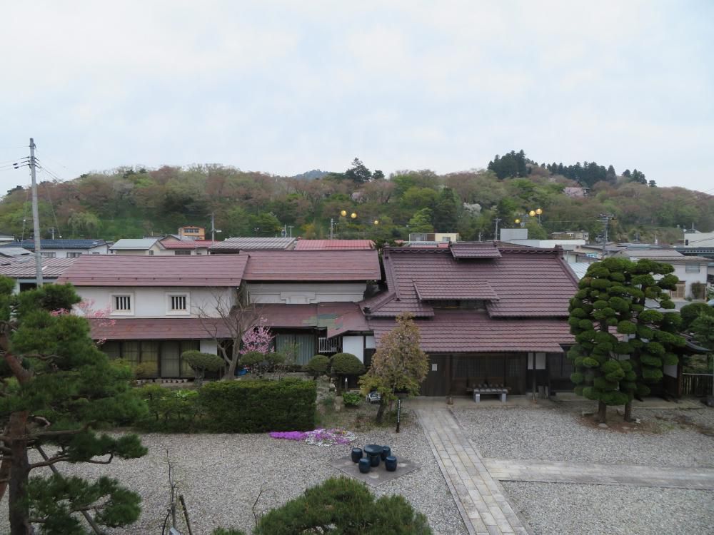 ４月２６日朝９時、烏帽子山の桜の様子です