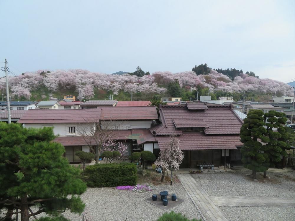 ４月７日、朝９時の烏帽子山の様子です