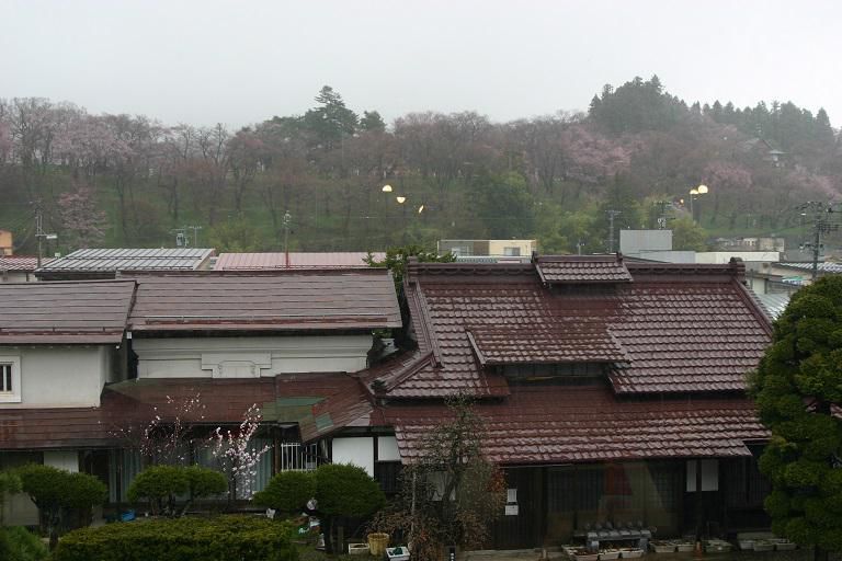 ４月９日、朝９時の烏帽子山の桜の様子です