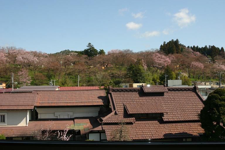 ４月１０日朝９時、烏帽子山の桜の様子です