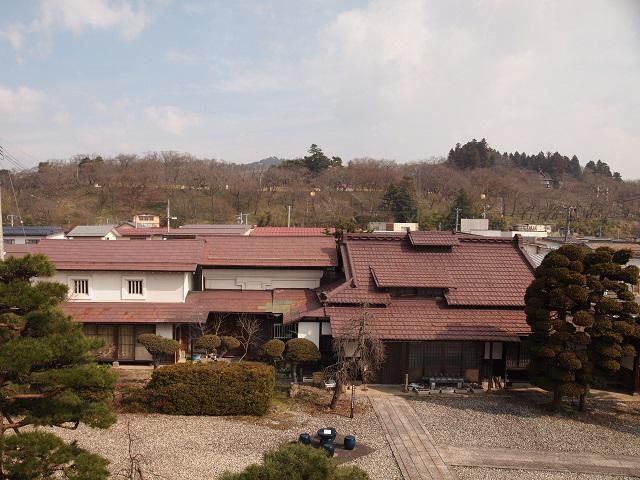 ３月２４日朝９時、烏帽子山の桜の様子です