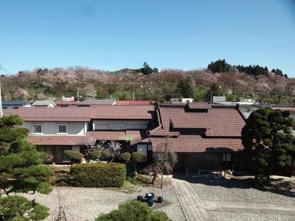 ４月８日朝９時、烏帽子山の桜の様子です