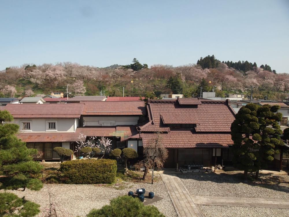 ４月９日朝９時、烏帽子山の桜の様子です