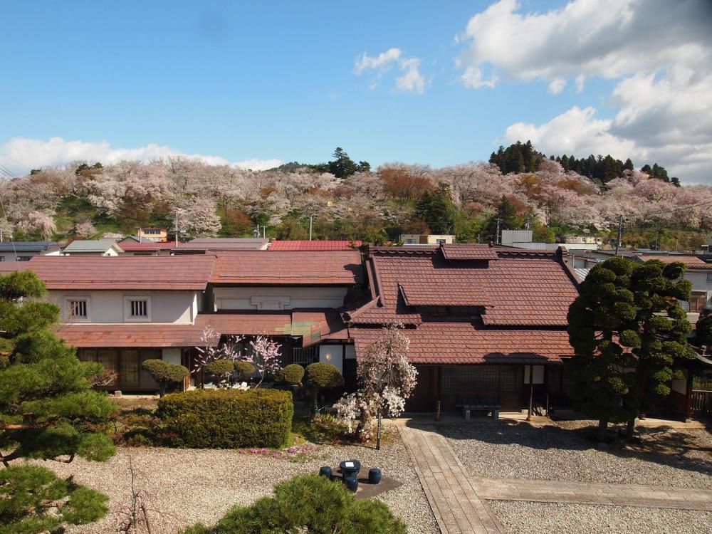 ４月１２日朝９時、烏帽子山の桜の様子です