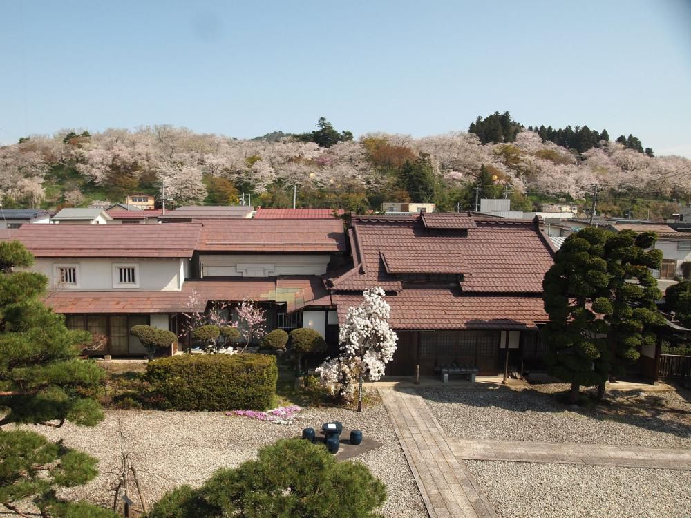 ４月１５日朝９時、烏帽子山の桜の様子です
