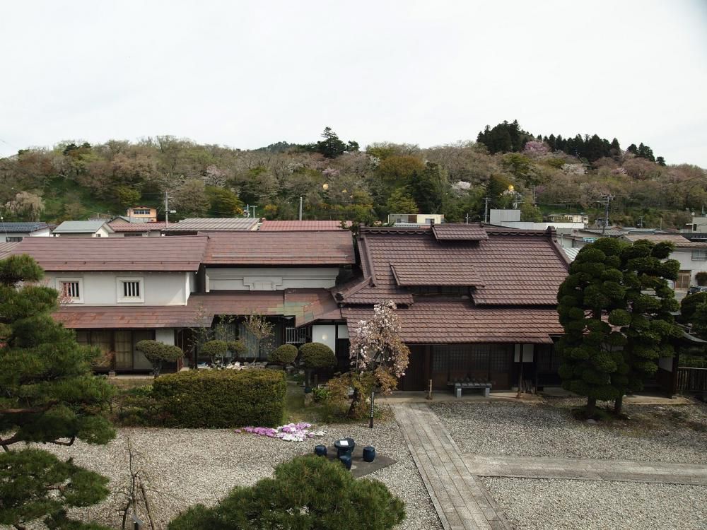 ４月１８日朝９時、烏帽子山の桜の様子です