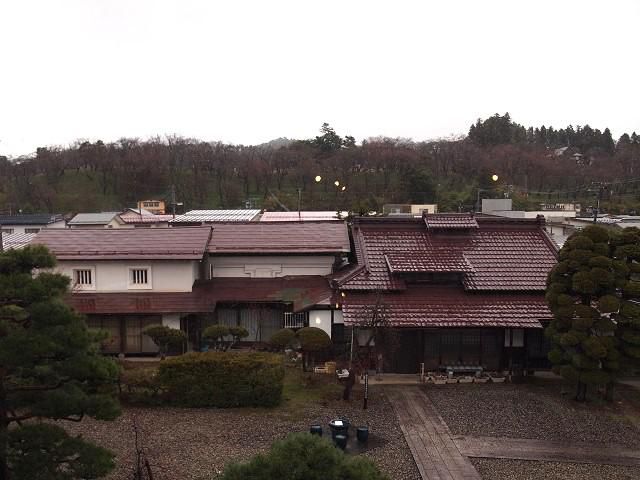4月2日朝9時、烏帽子山の桜の様子です