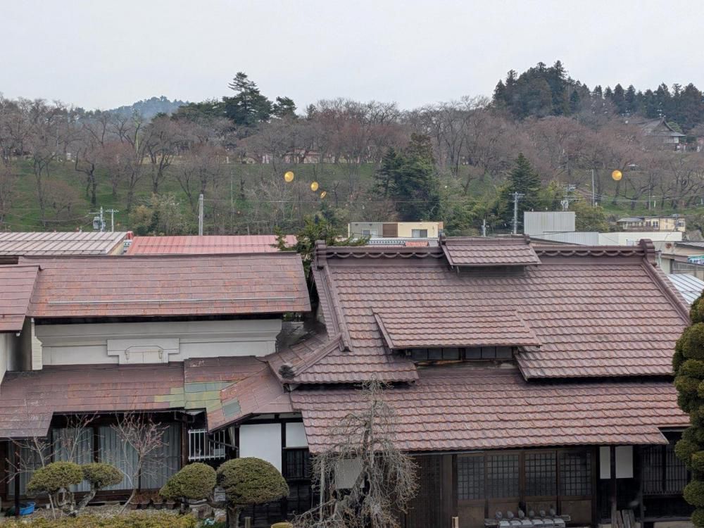 4月4日朝9時 烏帽子山の桜の様子です