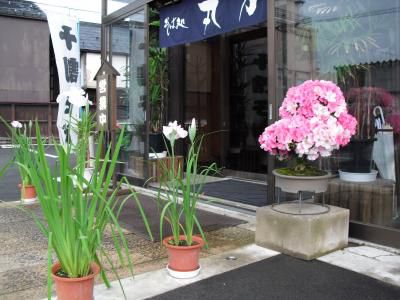玄関はさつき、店長はＹＢＣ