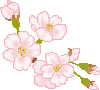 ★石屋のおっか★春がやってくる～