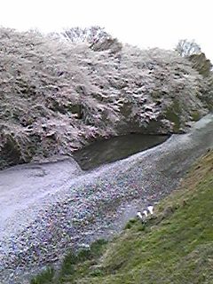 ★石屋のおっか★花より石！