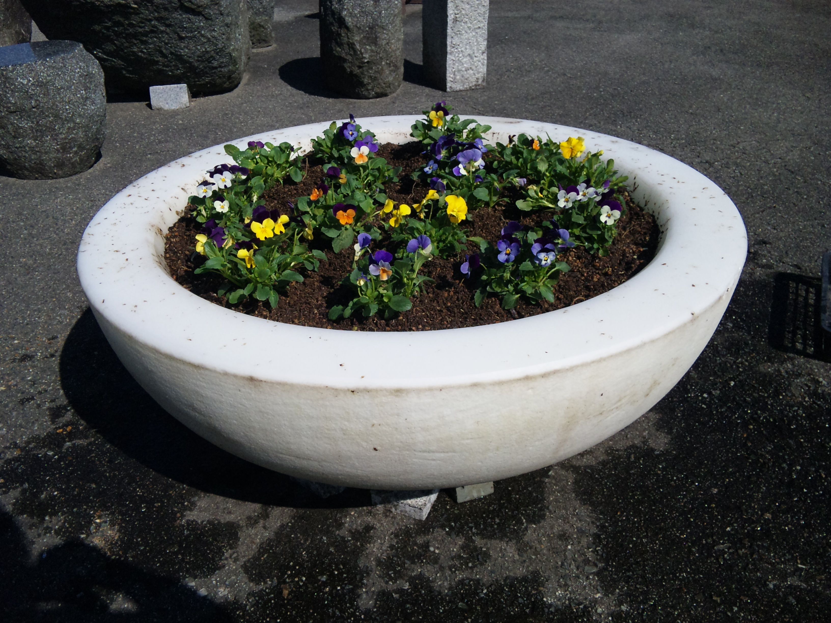 ★石屋のおっか★　植え替え