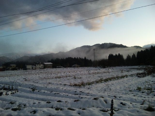 ★石屋のおっか★　仮病・・・