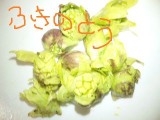 ★石屋のおっか★　春休みですね～