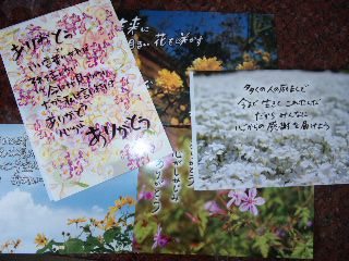 ★石屋のおっか★　山大生