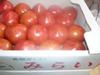 ★石屋のおっか★　春やすみ