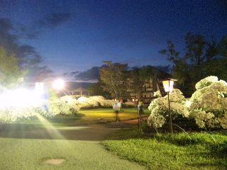 ★石屋のおっか★　つつじ公園