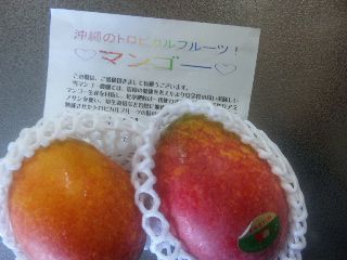 ★石屋のおっか★大騒ぎ②