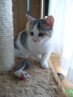 ★石屋のおっか★　メイちゃん