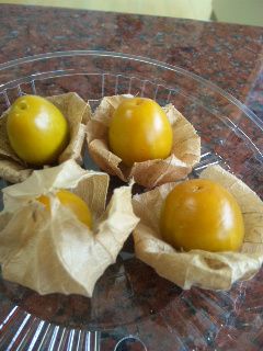 ★石屋のおっか★食べるほおずき
