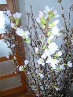 ★石屋のおっか★　こんな時は