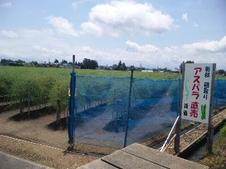 ★石屋のおっか★　世界は平和になる