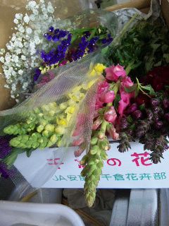 ★石屋のおっか★がぁぁ～～ん