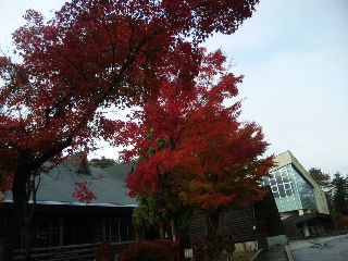 ★石屋のおっか★縄文人になれない