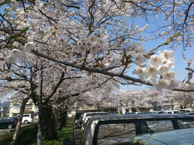 ★石屋のおっか★ちょっと早かった！