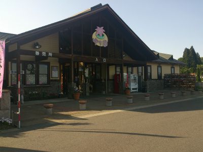 ★石屋のおっか★ゆり園開園中です