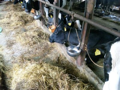★石屋のおっか★こんな所にも