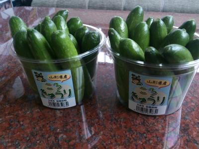 ★石屋のおっか★ころきゅうり