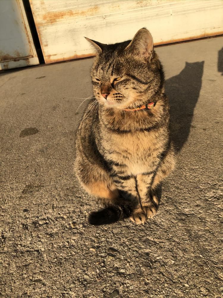 ★石屋のおっか★　～　超　～