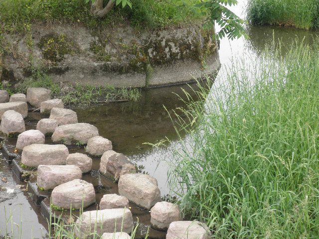 水質検査をしてみました。