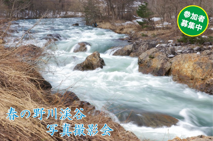 **春の野川渓谷写真撮影会を開催します**