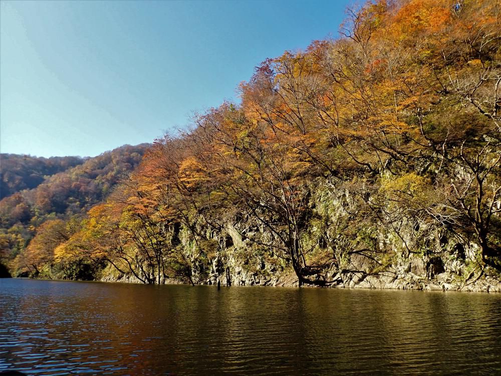 ～～絶景・三淵渓谷通り抜け参拝ボートツアー～～令和5年11月10日(金）