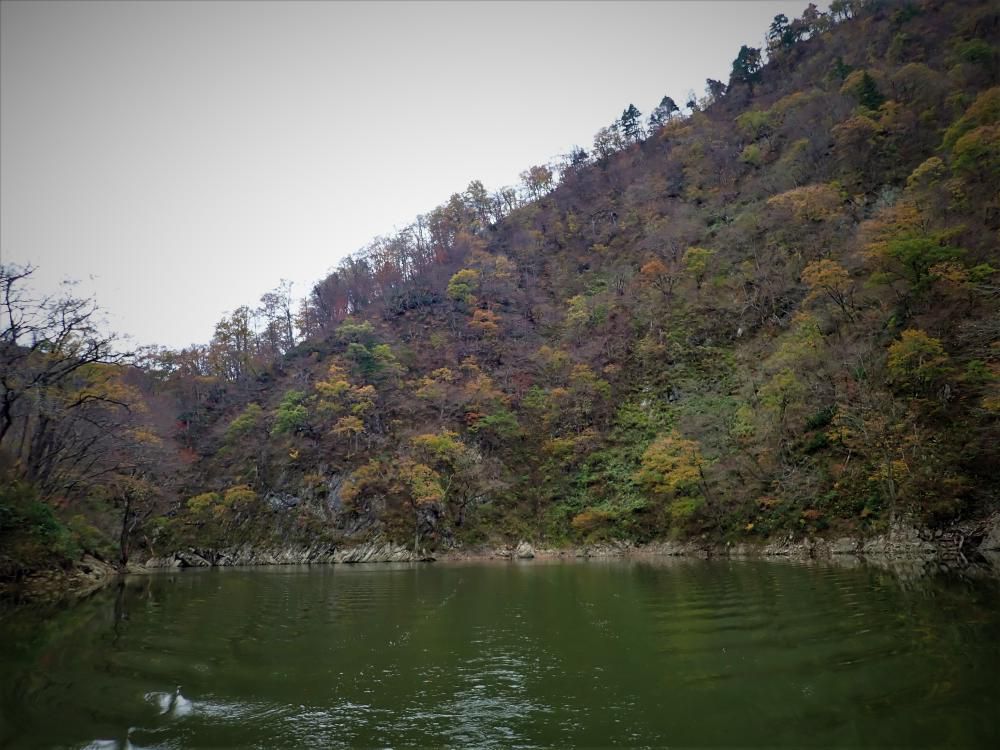 ～～絶景・三淵渓谷通り抜け参拝ボートツアー～～令和5年11月13日(月）