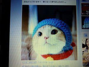 ちょっと拝見