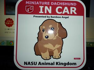 愛犬レオと同じ犬が