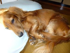 ワクワク・・・・・