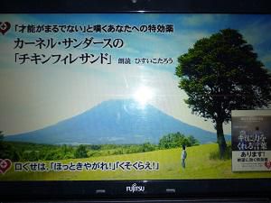 昨日の収穫