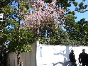 きのう東京に行って来ました＾＾